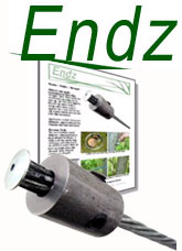 Endz.biz