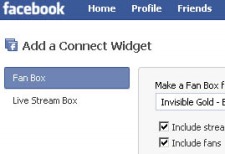 Embed Your Facebook Page On Your Website